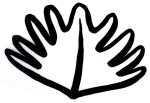 The leaf-hands element of the Synchrony Books logo, to be used on the spines of publications, copyright Clare Galloway for all use other than on the spines of Synchrony Books publications.